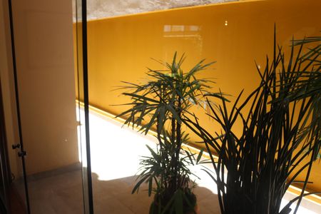 Casa à venda com 382m², 4 quartos e 6 vagasQuintal