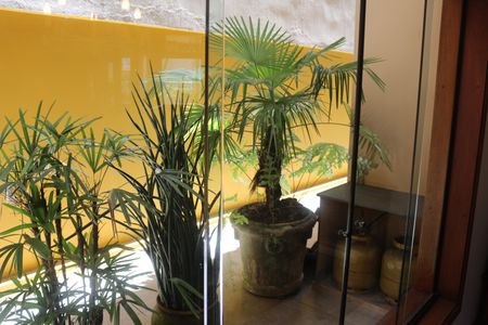 Casa à venda com 382m², 4 quartos e 6 vagasQuintal