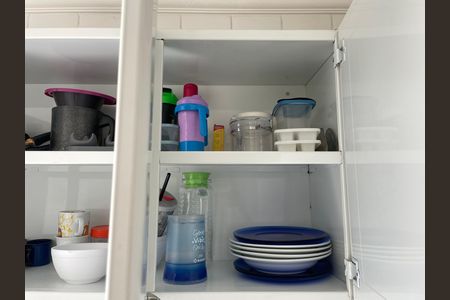 Apartamento para alugar com 49m², 2 quartos e 1 vagaCozinha - Armários
