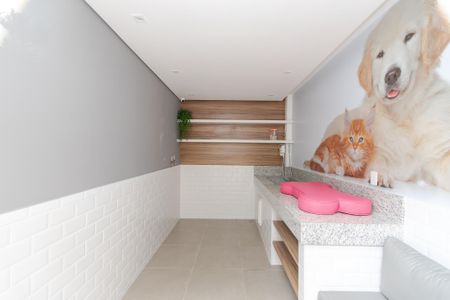 Apartamento para alugar com 32m², 1 quarto e sem vaga Apartamento para alugar com 32m², 1 quarto e sem vagaÁrea comum - Espaço Pet