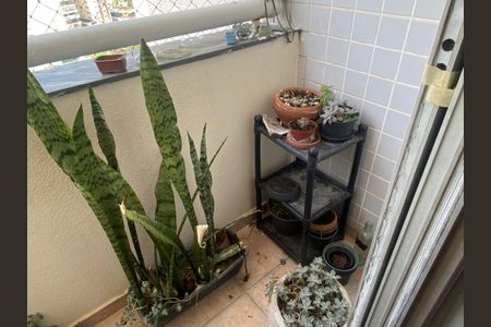 Apartamento à venda com 75m², 3 quartos e 2 vagasSacada da Suíte