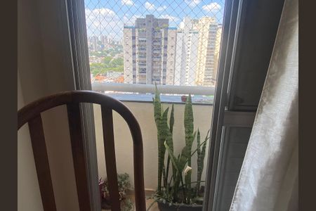 Apartamento à venda com 75m², 3 quartos e 2 vagasSacada da Suíte