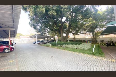 Apartamento para alugar com 70m², 3 quartos e 1 vagaFoto 35