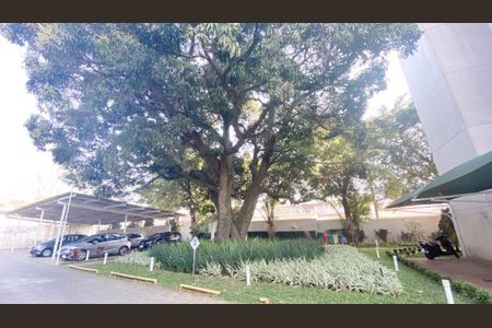 Apartamento para alugar com 70m², 3 quartos e 1 vagaFoto 37