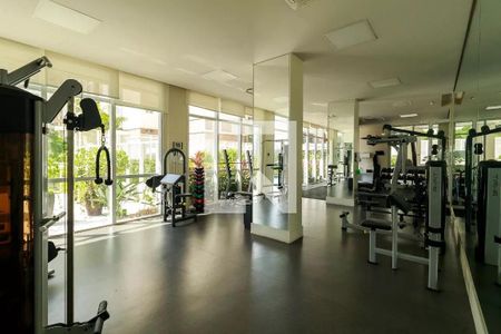 Apartamento à venda com 442m², 4 quartos e 6 vagasÁrea comum - Academia