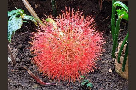 Apartamento à venda com 114m², 3 quartos e 1 vaga