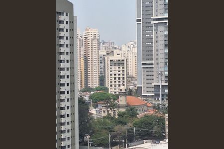 Apartamento para alugar com 28m², 1 quarto e sem vagaVista