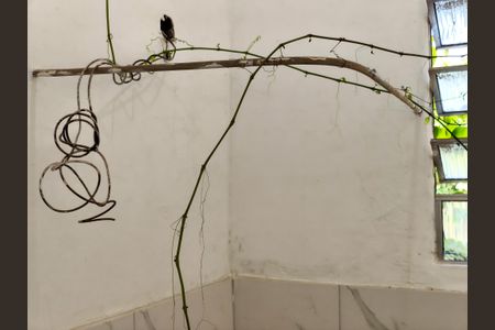 Casa à venda com 100m², 2 quartos e sem vagaBanheiro Corredor