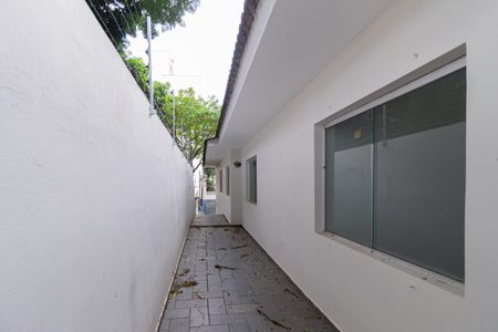 Casa para alugar com 221m², 3 quartos e 4 vagasQuintal