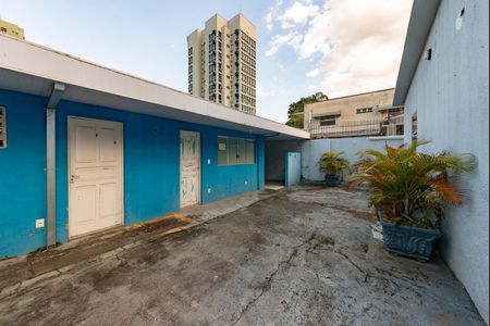 Casa para alugar com 341m², 4 quartos e 2 vagasQuintal