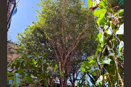 Casa à venda com 326m², 5 quartos e 4 vagasÁrea Externa