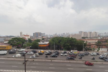 Apartamento para alugar com 30m², 1 quarto e sem vagaVista - Sala/Quarto