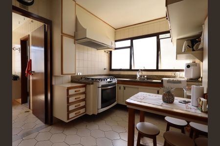 Apartamento à venda com 213m², 4 quartos e 2 vagasCozinha