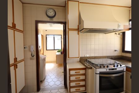 Apartamento à venda com 213m², 4 quartos e 2 vagasCozinha