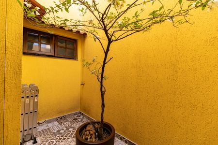Casa à venda com 250m², 3 quartos e 3 vagas Casa à venda com 250m², 3 quartos e 3 vagasJardim de Inverno