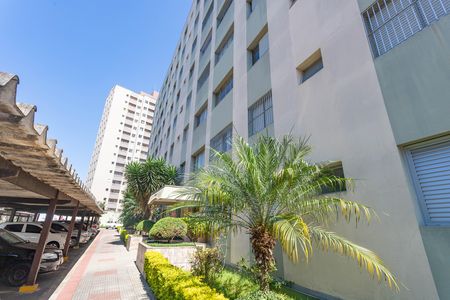 Apartamento para alugar com 58m², 2 quartos e 1 vaga Apartamento para alugar com 58m², 2 quartos e 1 vagaÁrea comum