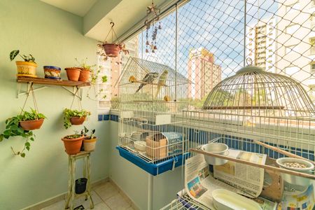 Apartamento à venda com 73m², 3 quartos e 1 vagaVaranda da Sala