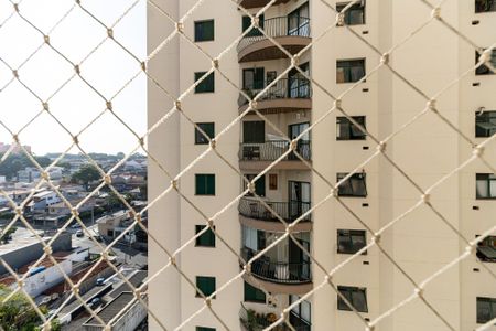 Apartamento à venda com 74m², 3 quartos e 1 vagaVista da Suíte