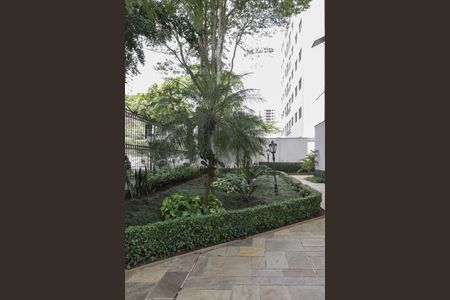 Apartamento à venda com 90m², 3 quartos e 1 vagaÁrea comum - Área verde