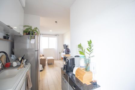 Apartamento para alugar com 40m², 2 quartos e sem vaga Apartamento para alugar com 40m², 2 quartos e sem vagaCozinha e Área de Serviço