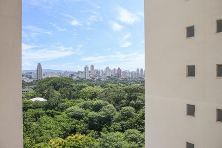 Apartamento para alugar com 27m², 1 quarto e sem vagaVista da Sala