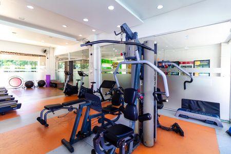 Apartamento à venda com 238m², 4 quartos e 4 vagasÁrea comum - Academia