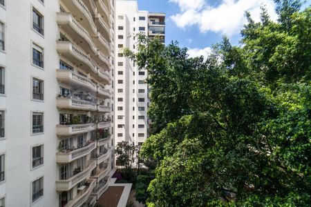 Apartamento à venda com 215m², 3 quartos e 4 vagasVista da Varanda