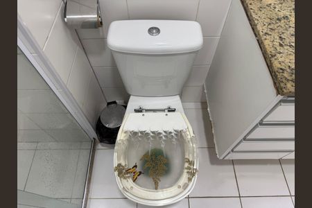 Apartamento para alugar com 96m², 3 quartos e 3 vagas Apartamento para alugar com 96m², 3 quartos e 3 vagasBanheiro Social