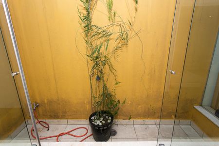 Casa à venda com 625m², 3 quartos e 4 vagasSuíte 2