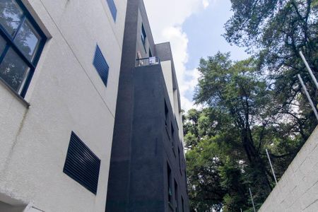 Studio para alugar com 32m², 1 quarto e sem vagaPlaquinha