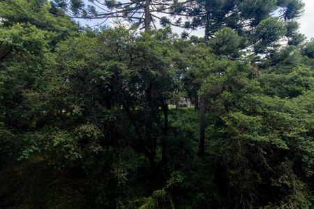 Studio para alugar com 32m², 1 quarto e sem vagaVista da Varanda