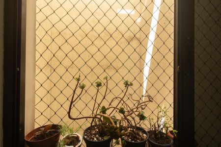 Apartamento para alugar com 70m², 3 quartos e 1 vagaVista da Área de Serviço