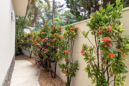 Casa à venda com 281m², 4 quartos e 3 vagasJardim