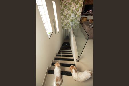 Casa para alugar com 238m², 6 quartos e 2 vagasEscada