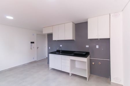 Apartamento para alugar com 50m², 2 quartos e 1 vaga Apartamento para alugar com 50m², 2 quartos e 1 vagaSala/Cozinha