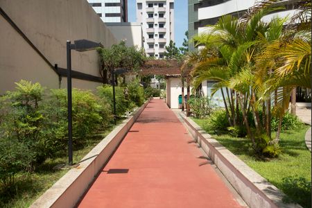 Apartamento para alugar com 280m², 3 quartos e 4 vagasArea de Circulação