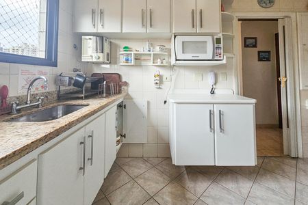 Apartamento para alugar com 250m², 3 quartos e 2 vagasCozinha