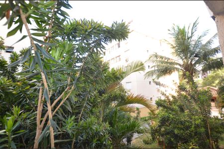 Apartamento para alugar com 50m², 2 quartos e 1 vagaVista do Quarto 2