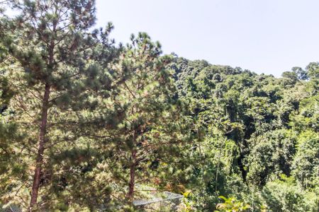 Apartamento para alugar com 100m², 1 quarto e 2 vagas Apartamento para alugar com 100m², 1 quarto e 2 vagasVista da Suíte