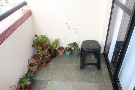 Apartamento à venda com 85m², 3 quartos e 2 vagasSacada