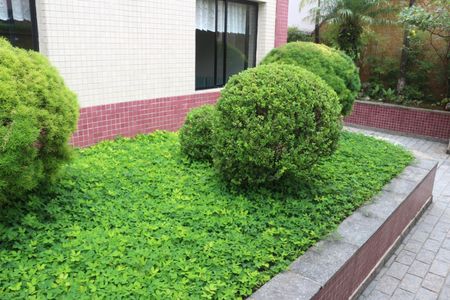 Apartamento à venda com 85m², 3 quartos e 2 vagasÁrea comum