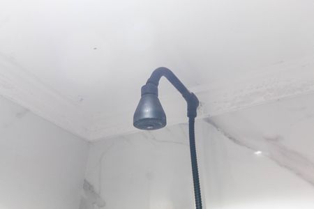 Apartamento para alugar com 260m², 4 quartos e 3 vagasChuveiro