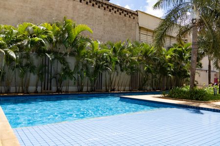 Apartamento para alugar com 75m², 3 quartos e 2 vagasÁrea comum - Piscina