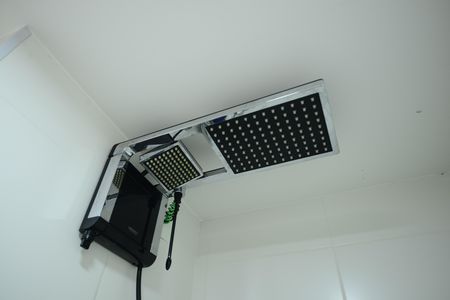 Apartamento para alugar com 39m², 2 quartos e sem vagaBanheiro