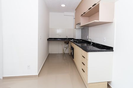 Apartamento para alugar com 37m², 2 quartos e sem vagaCozinha 