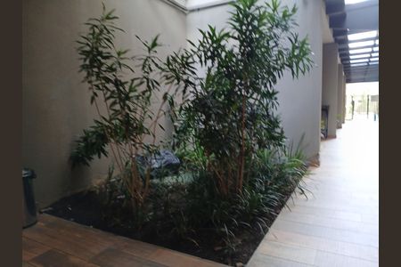 Apartamento para alugar com 34m², 1 quarto e sem vaga Apartamento para alugar com 34m², 1 quarto e sem vagaÁrea comum