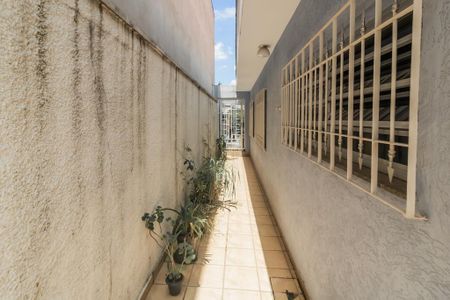Casa à venda com 252m², 3 quartos e 4 vagas Casa à venda com 252m², 3 quartos e 4 vagasQuintal