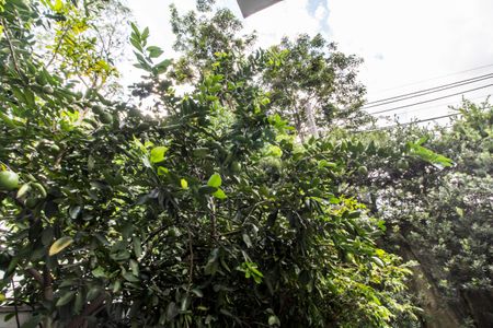 Casa de condomínio à venda com 370m², 3 quartos e 4 vagas Casa de condomínio à venda com 370m², 3 quartos e 4 vagasQuintal