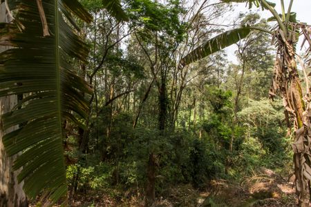 Casa de condomínio à venda com 370m², 3 quartos e 4 vagasDetalhe