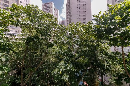 Apartamento para alugar com 75m², 2 quartos e 1 vaga Apartamento para alugar com 75m², 2 quartos e 1 vagaVista da Varanda
